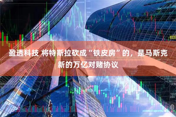 盈透科技 将特斯拉砍成“铁皮房”的，是马斯克新的万亿对赌协议