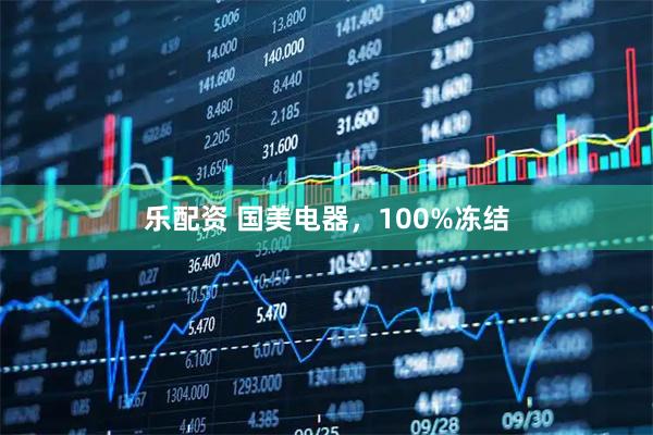 乐配资 国美电器，100%冻结